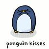 busaikko: a penguin blowing you kisses (x penguin kisses)
