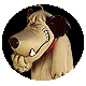 singe: Muttley snickering. (Muttley)