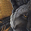 foxfeather: default (Default)