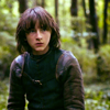 Bran Stark | the wolf dreamer