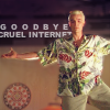 shapinglight: (goodbye cruel internet)