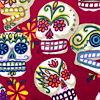 ext_148425: Illustration of stylized, colorfully decorated skulls. (:D)