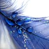 steins_stories: (Blue feather)