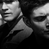 sleuth: (spn⌠guided by loss)