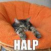 angrboda: A cat in an orange chair, looking like it's being swallowed up by the chair, and the word HALP! underneath. (Halp!)