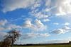 jillbertini: (clouds)