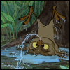 grey_gazania: the sword in the stone's archimedes upside-down and spitting out water (pinfeathers and golly fluff!)