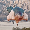 ironed_orchid: Hot air ballon by Patricia Piccinini in the shape of a whale turtle sky mammal thing with 10 breasts (Skywhale)