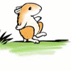 timeasmymeasure: a hamster walks in the direction of a cliff marked "abyss",  looks over a cliff and the text "we have cookies" appears (cartoon: abyss has cookies)