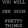 furikku: A black field with the words "YOU WILL SEE SUCH PRETTY THINGS" in white, blocky text (Wyoming Incident)