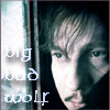 snottygrrl: remus lupin (big bad wolf)