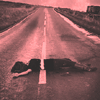 cadenzamuse: A woman lying on a road with the yellow lane divider stripe painted over her. (sad: flattened)