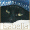 snottygrrl: cat peering out (isabella)