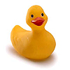 theducks: (Default)