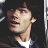 avengeful: <user name=bushyeyebrows> (pic#6238486)