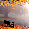 draconis: (misty autumn lake)
