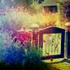 regann: (gate & garden)