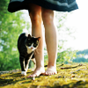 straightforwardly: a black & white cat twining around a girl's legs; both are outside. (Default)