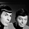 valentinite: spock and mccoy (star trek)