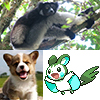 a1enzo: Indri, Corgi pup, and Emolga (Cubefall '13)