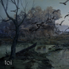 toi: (witcherArt)