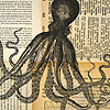 forthwritten: (squid&ink)