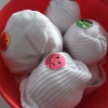 sockandroll: (pic#6311096)