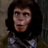 chimpanzee: (whoa dude)