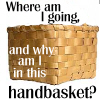 badbookworm: (Why am I in this handbasket...)