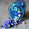 musesfool: jar of flower petals, spilling (but there is this)