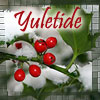lferion: (Yuletide_Holly)