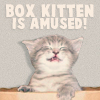 karihan: (Amused)