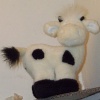 ciphergoth: (skycow)