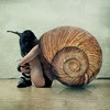 jennibeans: (slow like dead snail)