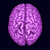 acelightning: shiny purple brain (brain)