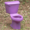 acelightning: purple toilet on dead grass (toilet)
