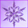 acelightning: microphotograph of a snowflake (snowflake)