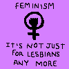 acelightning: "feminism - it's not just for lesbians any more" (feminism)