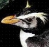 lonetread: (penguin)