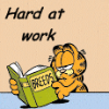 kj_svala: (Garfield hard at work)
