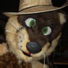 mortonfox: (otter)