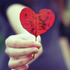 lovepeaceohana: A leaf shaped like a heart. (heartleaf)