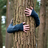 meloukhia: A person hugging a tree. All we see is the hands wrapped around the trunk. (Treehugger)