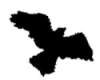 munnin: (raven)
