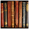 bibliothecary: row of books standing upright; multiple colors of leather binding (Default)