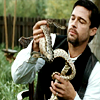 callmegregarious: snakes (enemies)