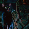 anaraine: Thackery Binx (as a cat) in front of Billy Butcherson's grave. ([hocus pocus] black cat)