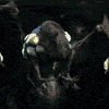 broodofone: Animated: Abathur stabs a zerg larva with the intent to consume it. (Cannibalism)