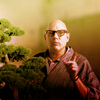 elf: Mozzie with Bonsai (Minimalistic)