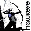 next_to_normal: Clint Barton crouching on a rooftop with bow (Hawkeye)